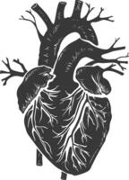 AI generated Silhouette for internal organs of heart black color only vector