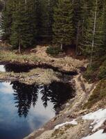 Mountain lake in spruce forest on a background of blue sky photo