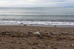 basura en la playa foto