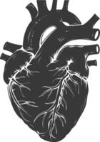 AI generated Silhouette for internal organs of heart black color only vector