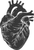 AI generated Silhouette for internal organs of heart black color only vector