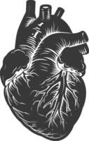 AI generated Silhouette for internal organs of heart black color only vector