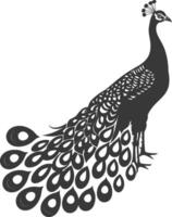 AI generated Silhouette Peafowl Birds Animal raise feather tail black color only vector