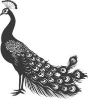 AI generated Silhouette Peafowl Birds Animal raise feather tail black color only vector