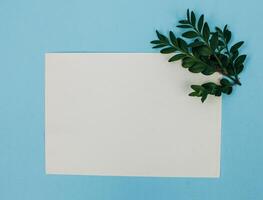 Desktop mock-up with blank paper card, branch on white shabby table background. Empty space. Styled stock photo, web banner. Flat lay photo