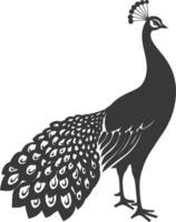 AI generated Silhouette Peafowl Birds Animal black color only vector