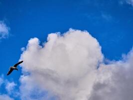 White fluffy clouds in the deep blue sky. Heaven background photo