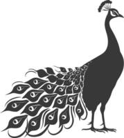 AI generated Silhouette Peafowl Birds Animal raise feather tail black color only vector