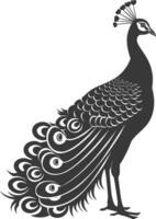 AI generated Silhouette Peafowl Birds Animal black color only vector