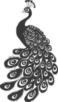 ai generado silueta pavo real aves animal aumento pluma cola negro color solamente vector