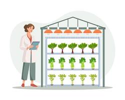 Hydroponic technology for growing plants. Scientist or biologist at hydroponic farm. Vertical farming. Smart farm. Illustration, vector