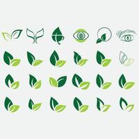 Collection of leaf logos vector