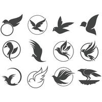 Collection of bird logos vector