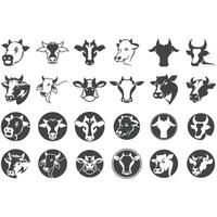 collection of cow logos vector