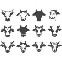 collection of cow logos vector