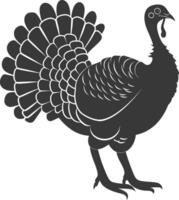 AI generated Silhouette Turkey Animal black color only full body vector