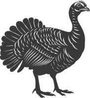 AI generated Silhouette Turkey Animal black color only full body vector