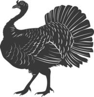 AI generated Silhouette Turkey Animal black color only full body vector