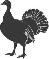 AI generated Silhouette Turkey Animal black color only full body vector