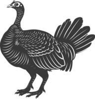 AI generated Silhouette Turkey Animal black color only full body vector