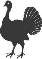 AI generated Silhouette Turkey Animal black color only full body vector