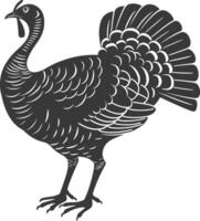 AI generated Silhouette Turkey Animal black color only full body vector