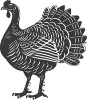 AI generated Silhouette Turkey Animal black color only full body vector