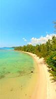 A dynamic shot of a sunlit beach with coconut palms on a paradise island. video