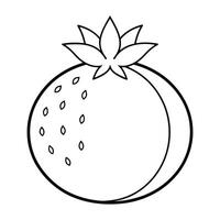 Vector of Pomegranate Illustration Coloring Page for Kids.