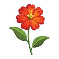 Wallflower Illustration on White Background. vector