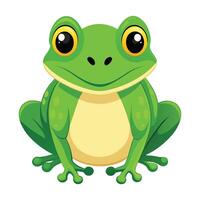 A green frog on white background vector