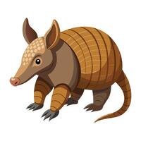 Armadillo illustration on White Background vector