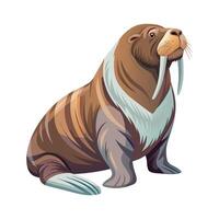 Walrus Illustration on White Background. vector