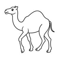Camel illustration coloring page for kids vector