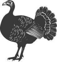 AI generated Silhouette Turkey Animal black color only full body vector