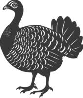 AI generated Silhouette Turkey Animal black color only full body vector