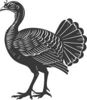 AI generated Silhouette Turkey Animal black color only full body vector