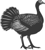 AI generated Silhouette Turkey Animal black color only full body vector