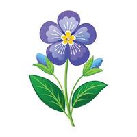 Veronica Flower Illustration on White Background. vector