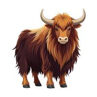 Yak Illustration on White Background. vector