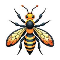 Vector of Wasp Illustration on White.