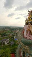 Drago tempio collocato vicino bangkok. video