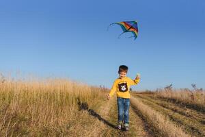 Happy child playing with a kite while running on meadow, sunset, in summer day. Funny time with family. Little boy launch a kite. photo