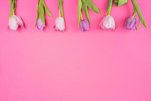 Floral background with tulips flowers on pink pastel background. Flat lay, top view. Woman day background. photo