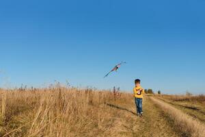 pequeño chico con cometa volador terminado su cabeza foto