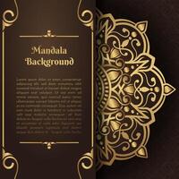 luxury background, with gold mandala ornament vector