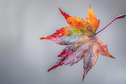 AI generated A vibrant, colorful leaf hangs gracefully from a tree branch, showcasing natures beauty and seasonal change. photo