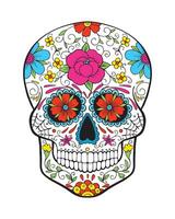 Mexican sugar skull. Day of The Dead colorful Skull with floral ornament. vector