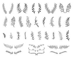 Vintage set of hand drawn tree branches with leaves and flowers on white background vector