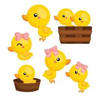 Cute Yellow Baby Ducks Animals Cartoon Illustration Vector Clipart Sticker Decoration Background